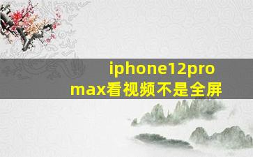 iphone12pro max看视频不是全屏